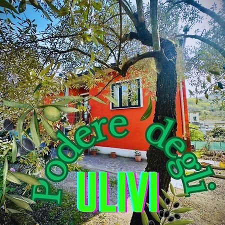 세라발레 피스토이에세 Podere Degli Ulivi Family 빌라 외부 사진
