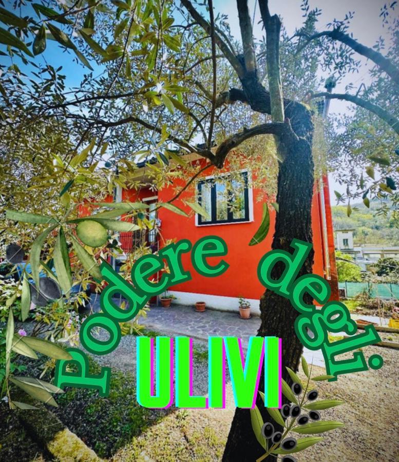 세라발레 피스토이에세 Podere Degli Ulivi Family 빌라 외부 사진